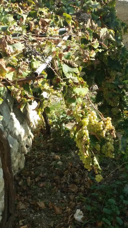 شقة Sole E Fiori Di Sicilia فالديريتْشّي المظهر الخارجي الصورة