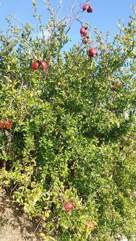 شقة Sole E Fiori Di Sicilia فالديريتْشّي المظهر الخارجي الصورة