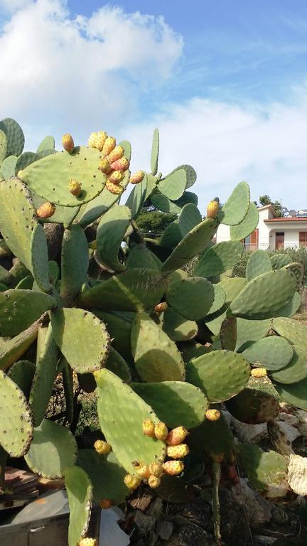 شقة Sole E Fiori Di Sicilia فالديريتْشّي المظهر الخارجي الصورة